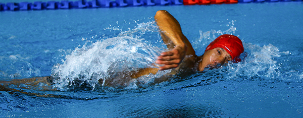 ��������Ӿ